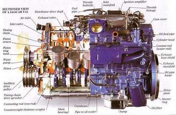 Moteurs-Sectioned modernes Vue d'une Jaguar V12 (moteur moderne)